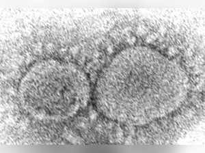 Coronavirus origins still a mystery 3 years into pandemic