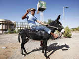 Anti-Gaddafi fighter on a donkey