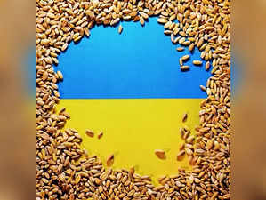 Russia May Quit Grain Deal If EU Ban Implemented.