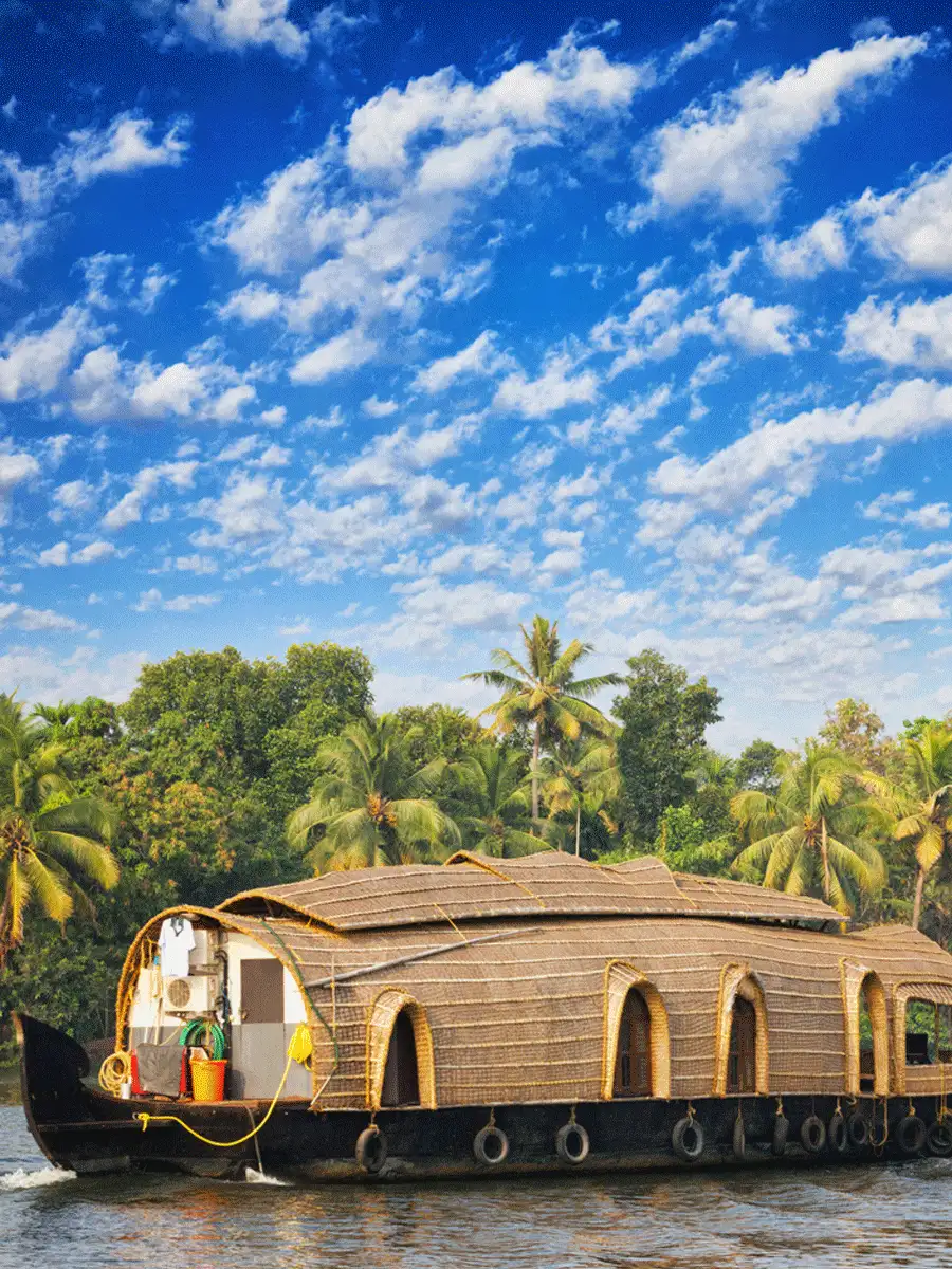 best-river-cruises-india-best-river-cruises-in-india-economictimes