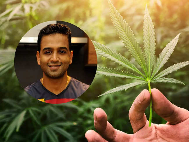 Here's what Nithin Kamath had to say about marijuana's humble cousin, hemp.