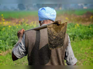 Amritsar: A farmer works in a farm at a village near Amritsar. Union Finance Min...
