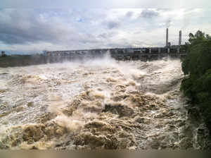 Kota: Water flows after authorities opened sluice gates of the Kota barrage foll...