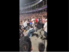 Fight breaks out between fans during Delhi Capitals vs SRH IPL match. Watch