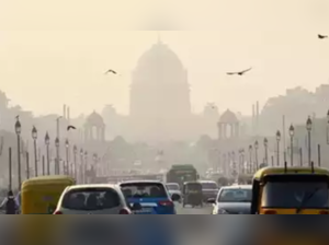 Ozone, PM10 key contributors to Delhi’s pollution this month