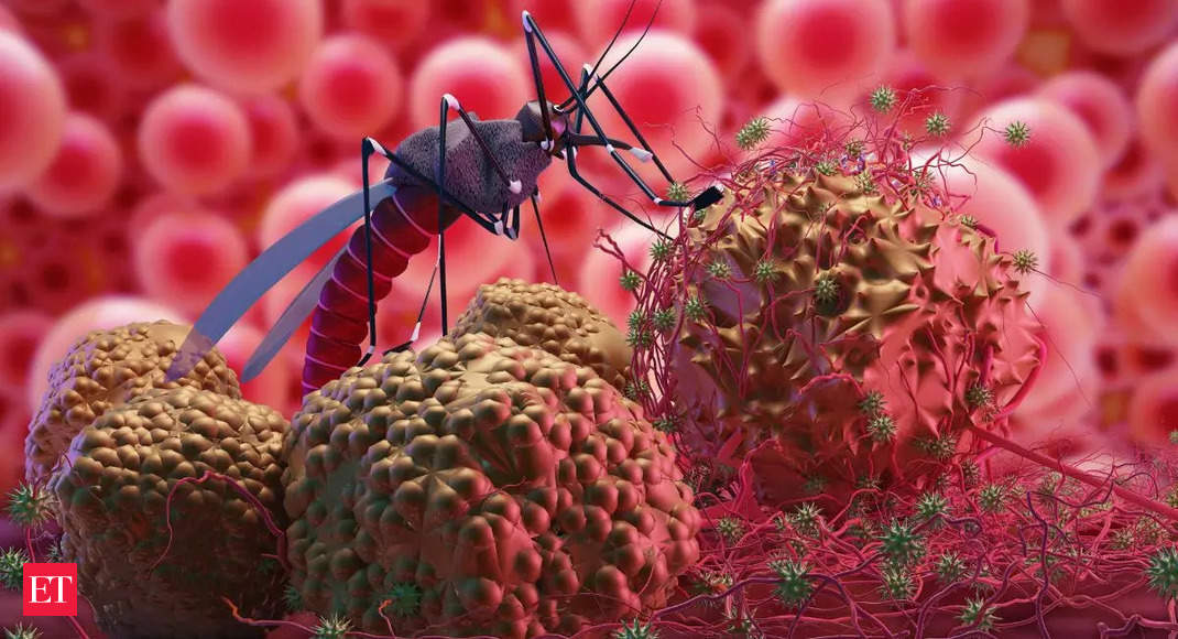 IISc’s computational analysis throws light on how dengue virus evolved in India