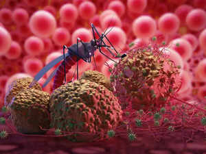 IISc's computational analysis throws light on how dengue virus evolved in India
