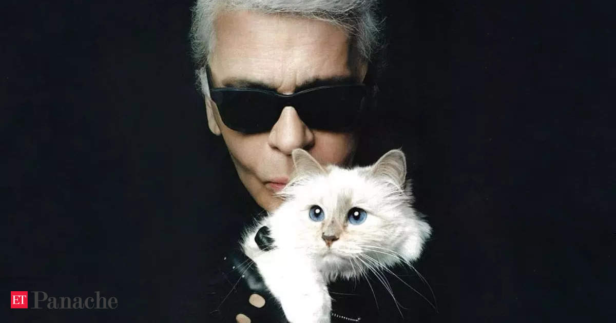 karl lagerfeld cat: Karl Lagerfeld's pet cat Choupette reveals why she ...