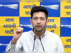 New Delhi: AAP leader Raghav Chadha addresses a press conference, in New Delhi, on Monday, May 01, 2023. (Photo:IANS/Twitter)