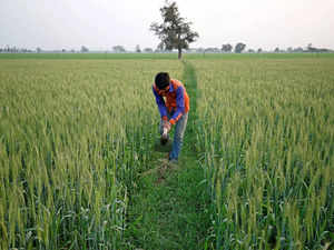 Gujarat govt announces relief package for farmers hit by unseasonal rains