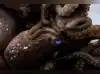 Image for Should humans industrialize creatures that