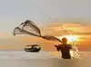 Image for Fisherman pulled into sea by
