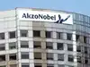 Image for Akzo Nobel names Fredrik Westin