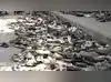Image for Bengaluru Stampede case: CAT quashes