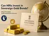 Image for Can NRIs invest in sovereign