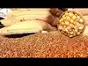 Gearing up for El Nino: NCCF puts tenders to sell Tur Dal on hold:Image