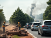 Pollution Level: More trees won't cancel out your SUV emissions:Image