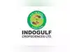 Image for Indogulf Cropsciences IPO subscribed 7