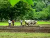 Image for Kharif da