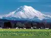 Image for Mount Rainier earthquake swarm explained;
