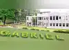 Image for Gabriel India share price surges