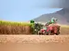 Image for Sugarcane to sustainability: India gets