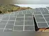 Image for Exxaro Tiles sets up captive