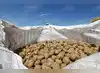 Image for Centre approves potato research centre