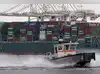 Image for US trade deficit widens in