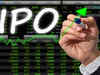 1,500% returns! Pint-sized IPOs become lottery ticket as investors:Image