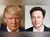 Image for Elon Musk approval rating falls:
