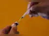 Image for Is US measles elimination status