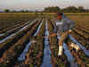 India's interest to study agriculture abroad rises:Image