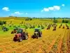 Image for Tractor sales in India likely