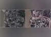 Image for How one tiny Myanmar town
