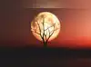 Image for Buck Moon 2025: Here’s how