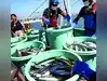 Image for China partly lifts ban on