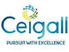 Ceigall India falls further to IPO price after tepid debut:Image