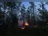 Image for Wildfire cuts off remote Canadian