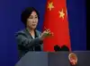 Image for China defends Brics against Trump's