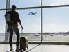 Delayed takeoff: Noida airport begins flight operations today