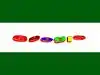 Google's birthday: Google is celebrating 28th birthday with Google Doodle today but why it's not matching it's official incorporation date September 4:Image