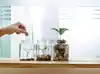 Image for Best dynamic bond funds to