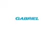 Image for Gabriel India shares surge 44%