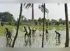 Image for Kharif paddy sowing up 58
