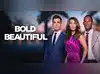 Image for The Bold and the Beautiful