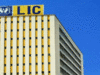 LIC soars 74% in 1 yr, leading returns among top 10 firms by market cap:Image