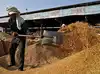 Image for From shortage to surplus: India