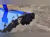 Image for Bees, bad weather, & runway