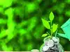 Jefferies favours Indian largecaps amid rising bond yields:Image